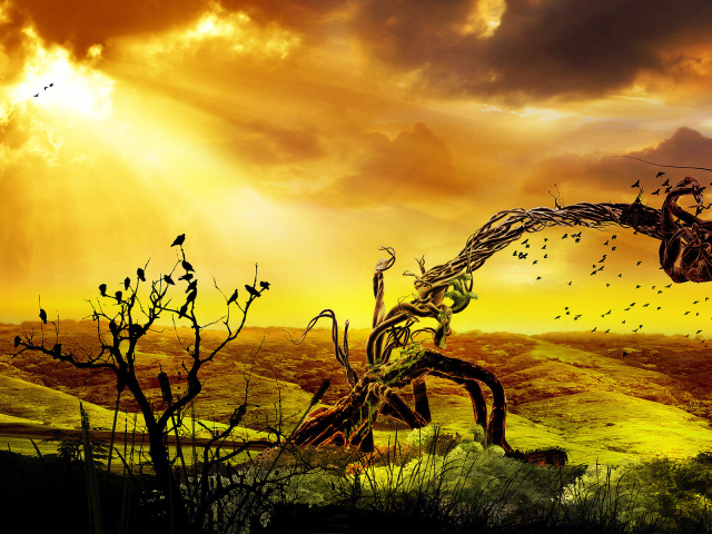 Дерево и птицы