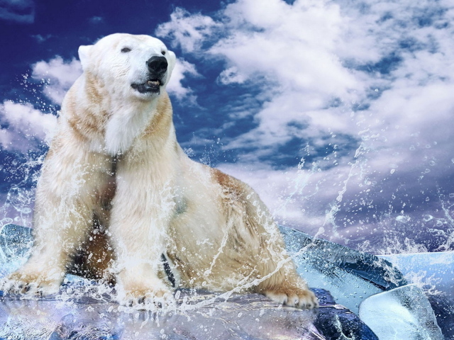 Белый медведь на льду