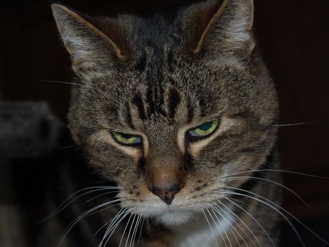 Весна сводит меня с ума