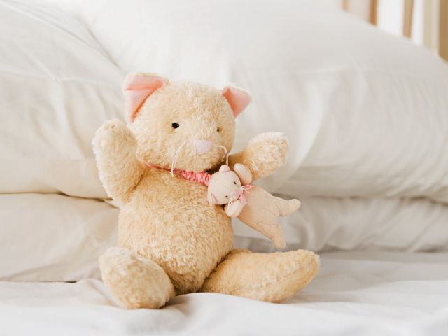 Плюшевые кошка и мышка