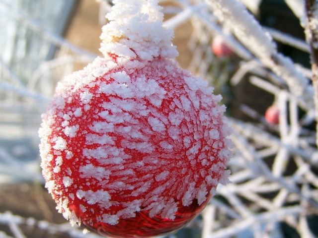 Оледеневший шар