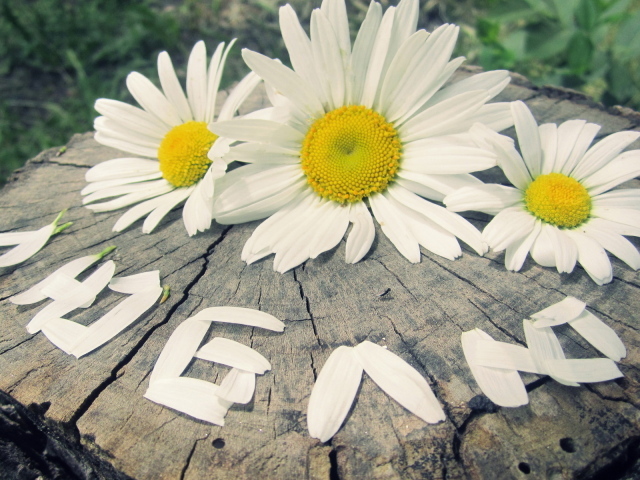 надпись Люблю