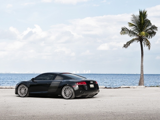 Audi R8 у моря