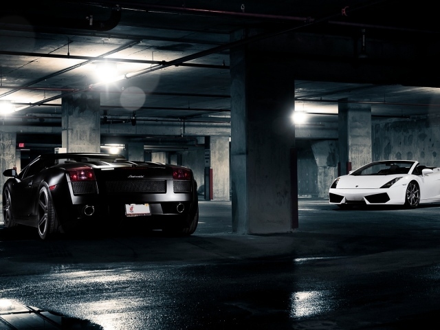 Lamborghini Gallardo White and Black