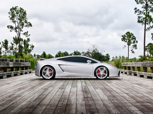 Performance Lamborghini Gallardo