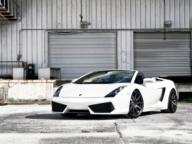 white Lamborghini Gallardo