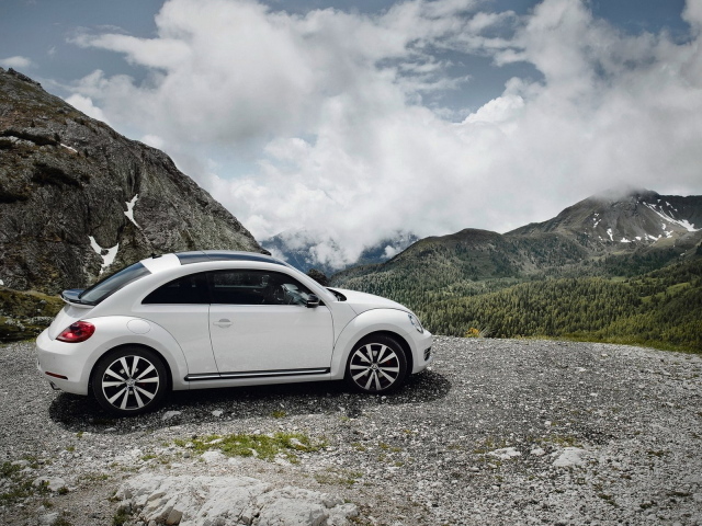 Volkswagen-Beetle