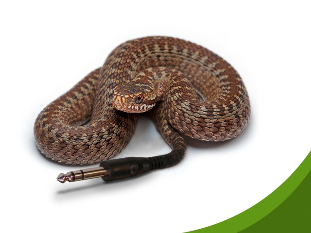 Компьютерная змейка