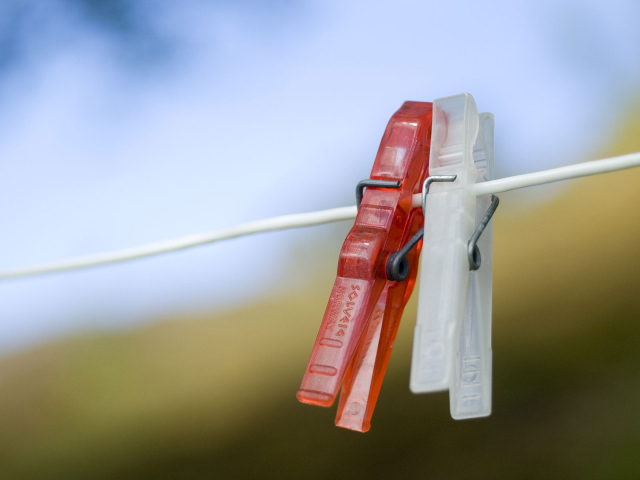 Любовь прищепки