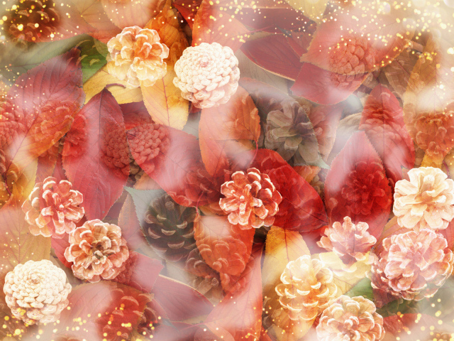 Шишки и листья