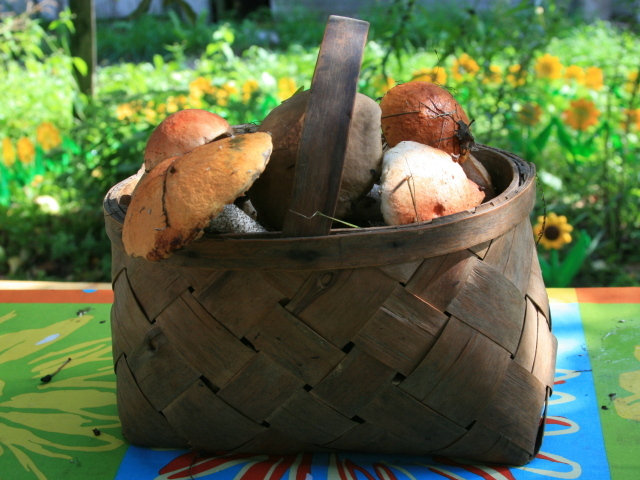 Корзина с грибами