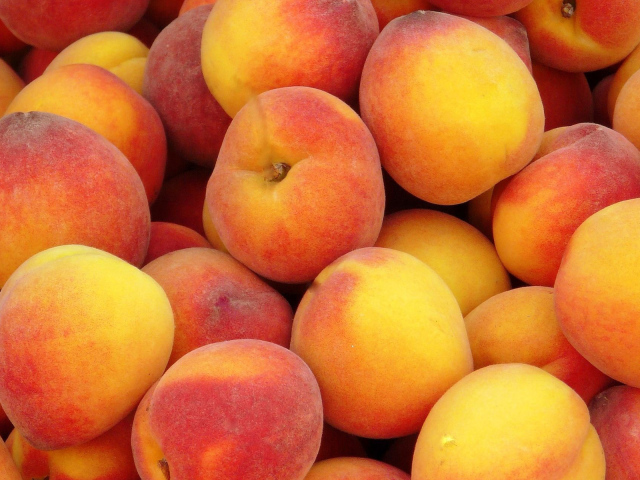Куча персиков