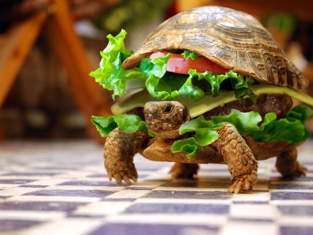 Черепаха - бургер