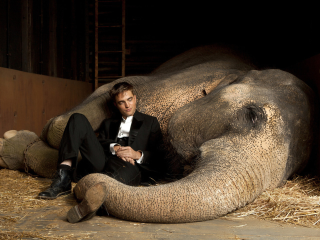 Robert Pattinson и слон