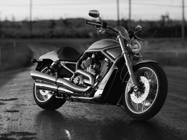 Harley Davidson  V-Rod