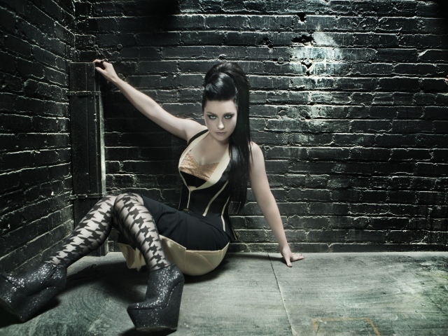 певица Эми Ли (Amy Lee)