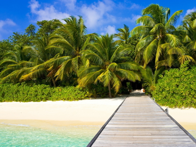 Пальмы на пляже