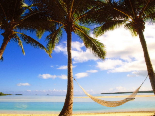 Пальмы на берегу