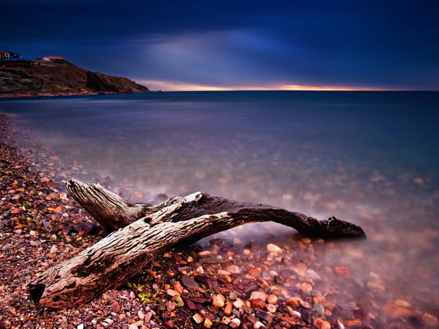 Коряга на берегу