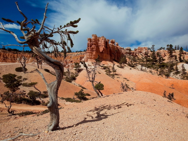 Пустынные холмы