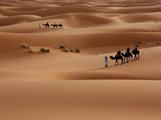 Прогулка по пустыне