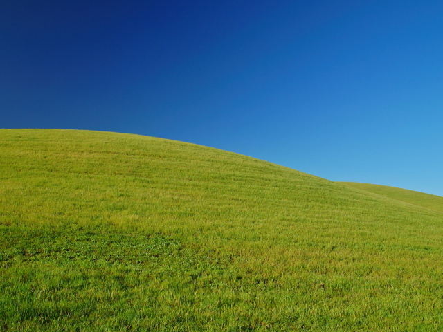 Свежая зелень