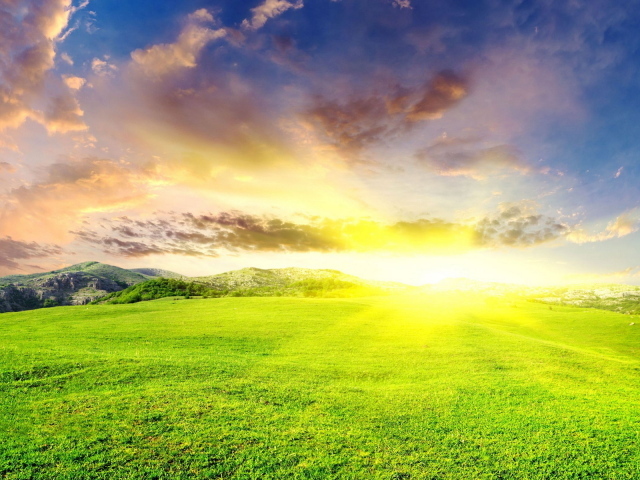 Зеленые луга