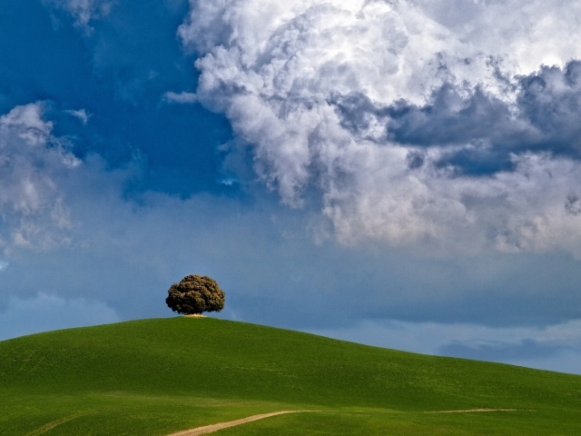 Один в поле