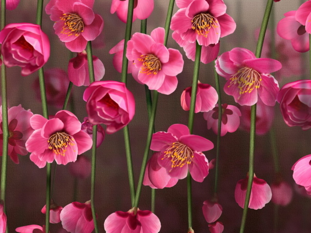 Рисунок цветов