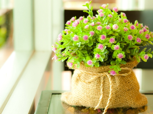 Мелкие цветочки