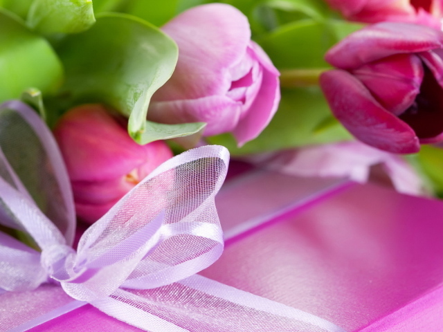 Тюльпаны и подарок