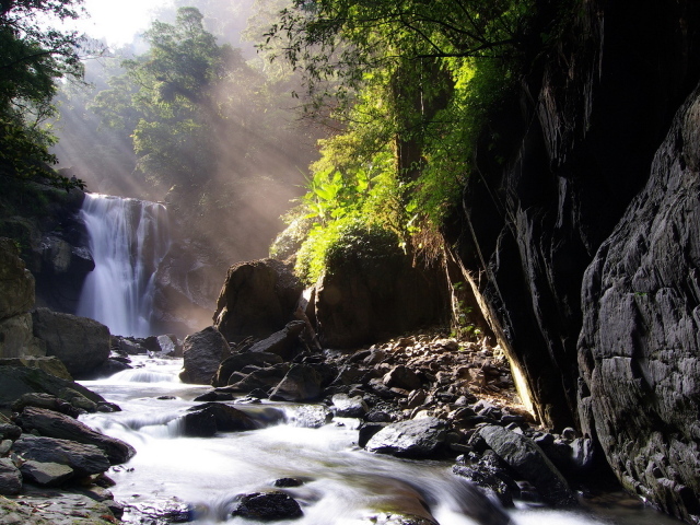 Лесной ручей