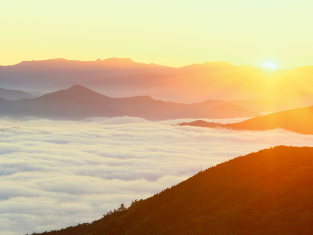 Густой туман