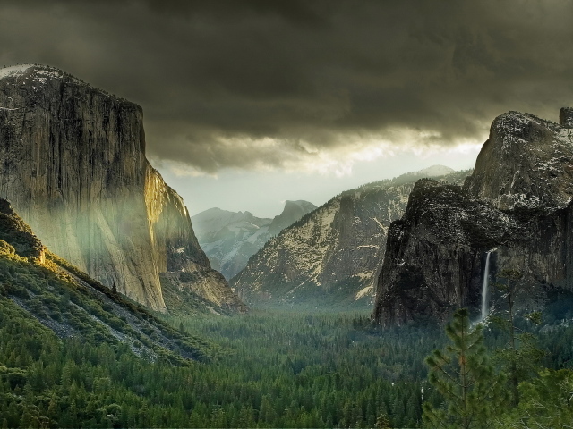 Лес у подножия гор