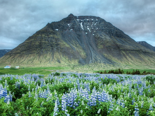 Высокая гора