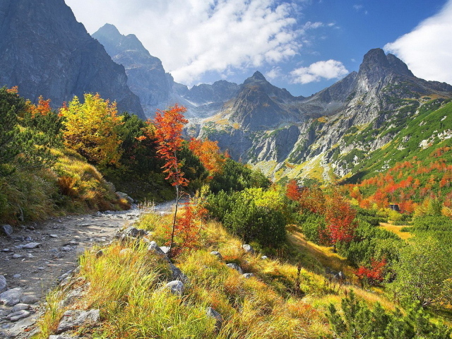 Горная тропа