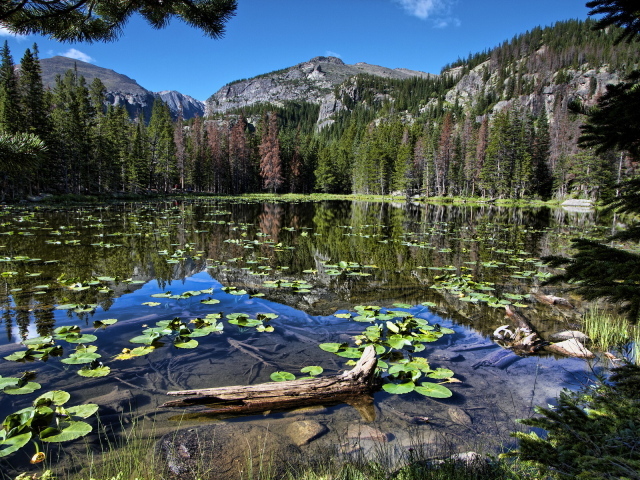 Горная запруда