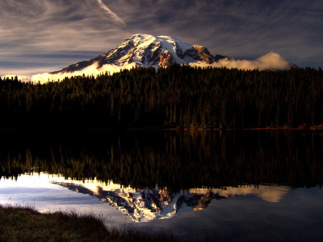 Горы за лесом