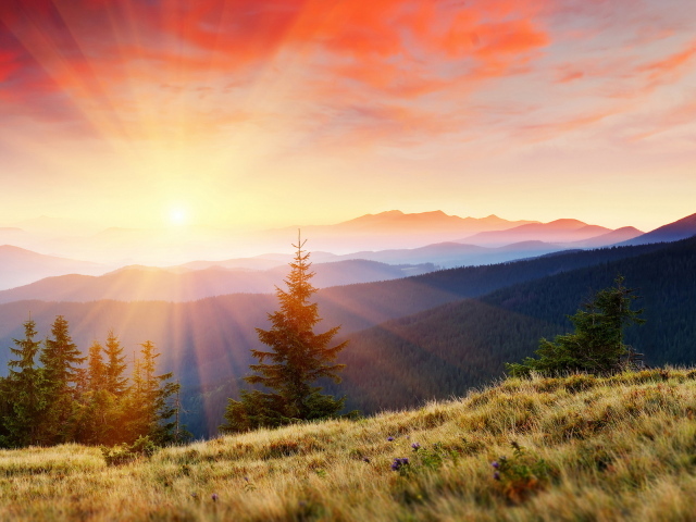 Горы покрытые лесом