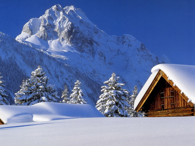 Снежная вершина