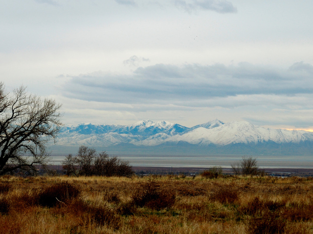 Снежные вершины