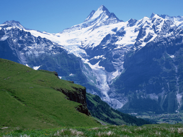 Снежная вершина