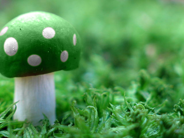 Зеленый мухомор