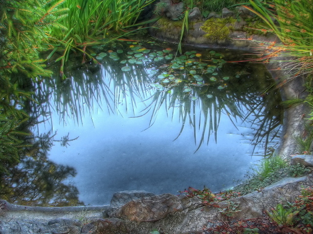 Среди камышей