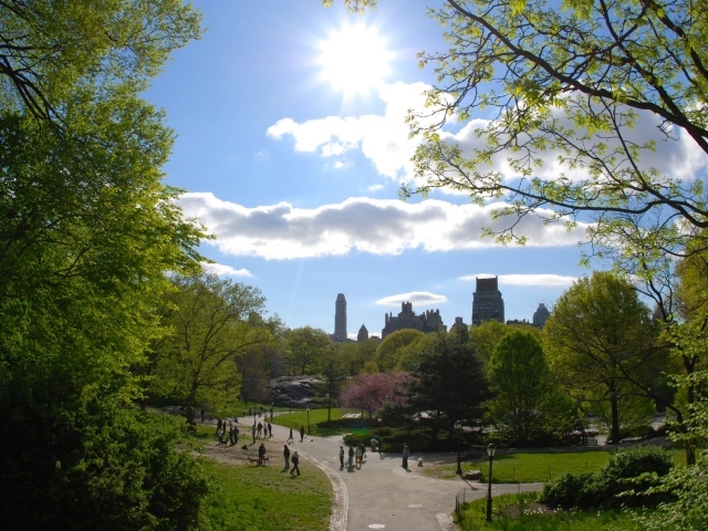 Городской парк