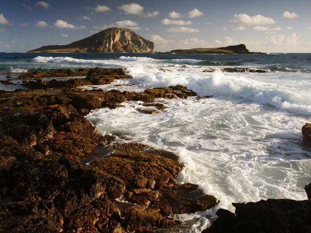 Морской берег