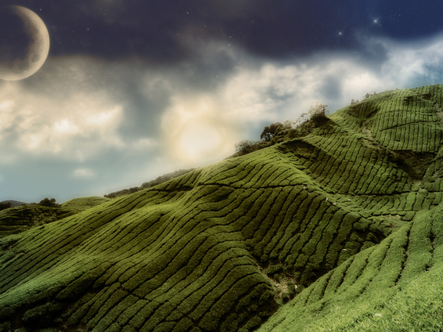 Зеленые холмы