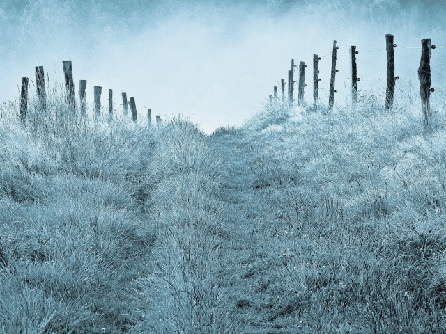 Туманным утром