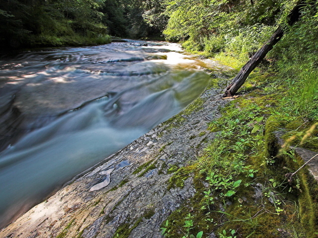 Стремительная речка