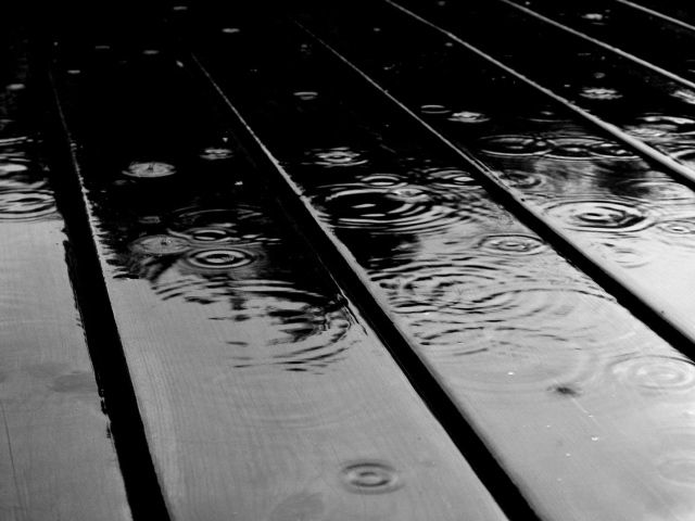 Круги дождя